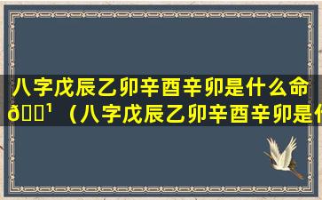 八字戊辰乙卯辛酉辛卯是什么命 🌹 （八字戊辰乙卯辛酉辛卯是什么命运）